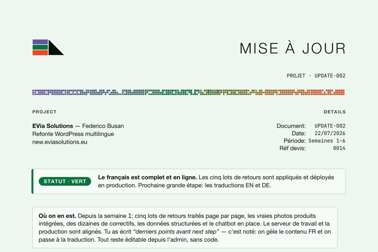 The header and green status badge of EVia's July 2026 project report, with Lyfar Studio's pixel colour rule.